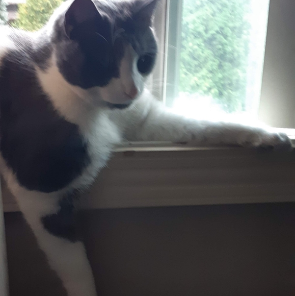 Meet your Posher, Karine - Picture 5 of 11